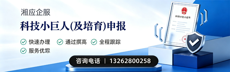宝鸡科技小巨人及培育企业申报服务