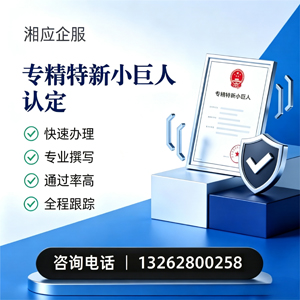 宝鸡专精特新小巨人申报服务