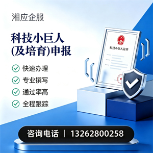 宝鸡科技小巨人及培育企业申报服务