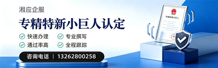 宝鸡专精特新小巨人申报服务